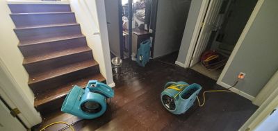 Hardwood Floor Repair